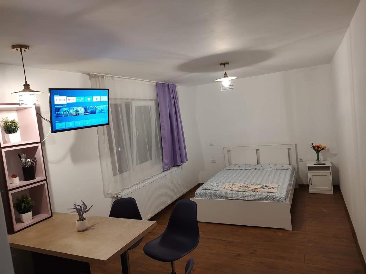 Garsoniera Dania&Petru 1 Apartment Tirgu Ocna Ngoại thất bức ảnh